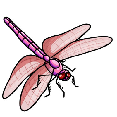 [Dragonfly]