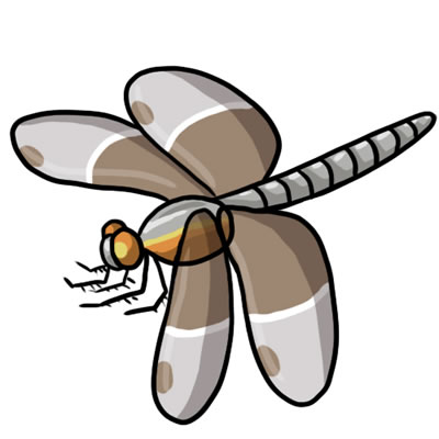 [Dragonfly]