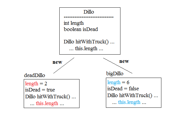 Classes and Objects for Dillos